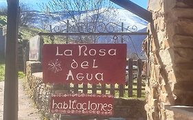 La Rosa Del Agua